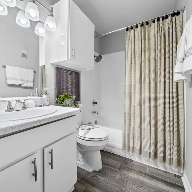 Ellis Model Bathroom A3 737 sq ft_1BD_1BA.jpg