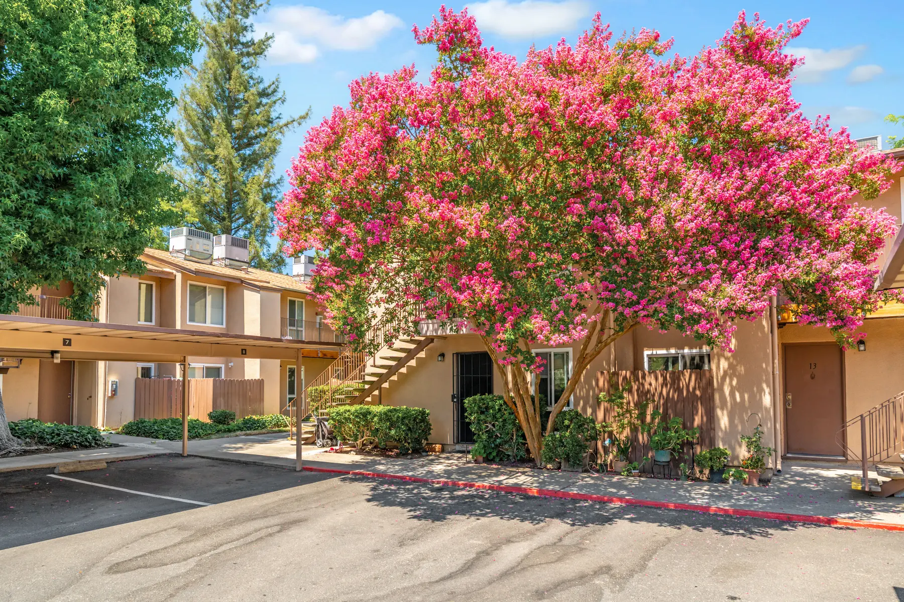 A residential building with a large flowering tree in front, featuring pink blossoms, and adjacent parking spaces.