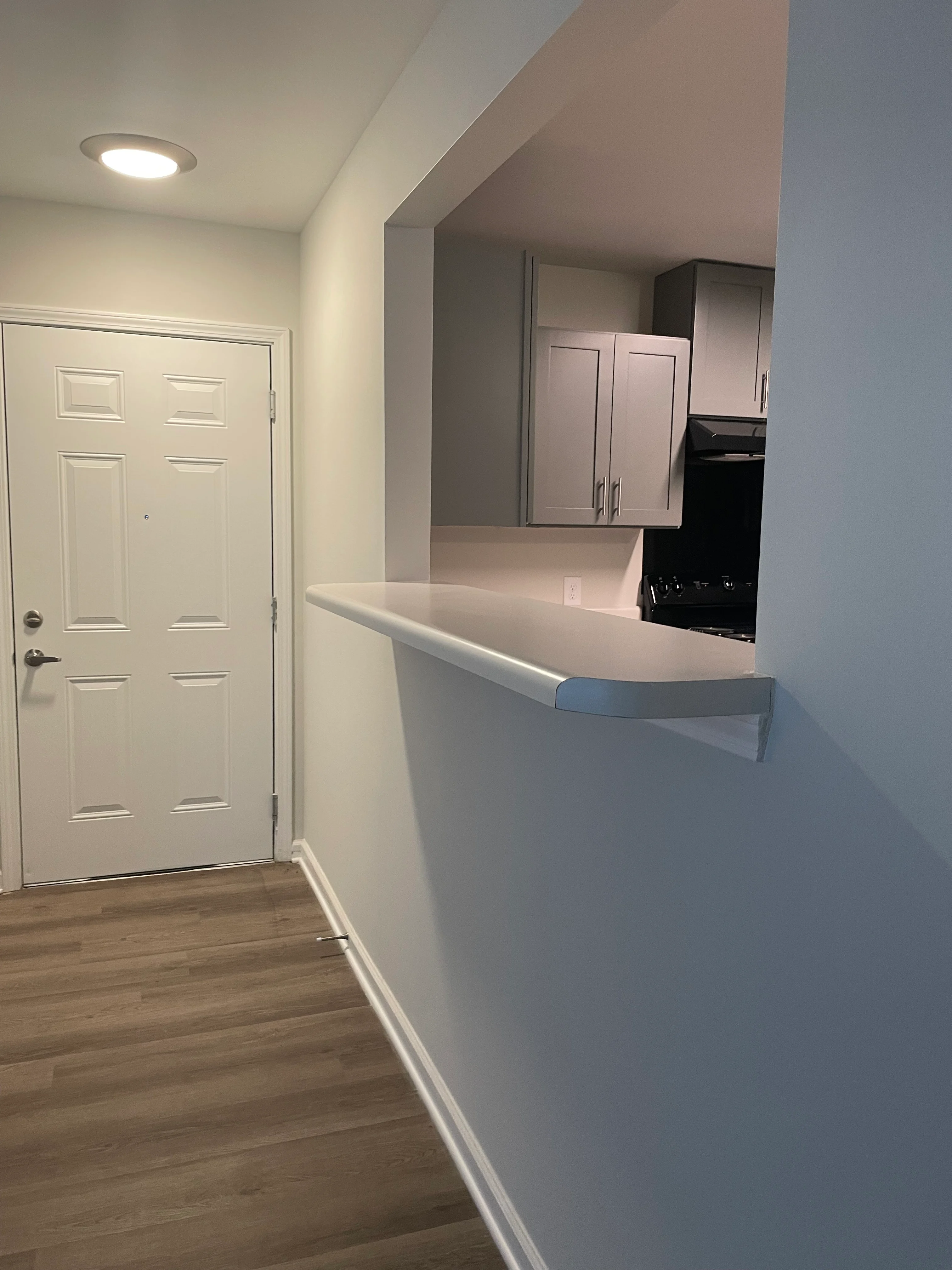 A view of a modern apartment entryway featuring a white door, a light fixture above, and a partial wall with a counter overlooking the kitchen area.