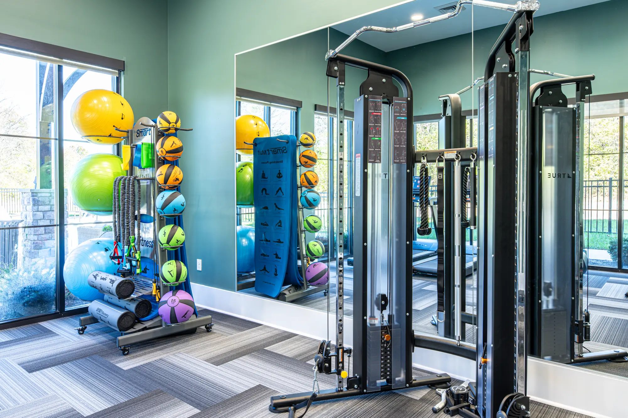 A modern gym interior featuring fitness equipment, including a cable machine, colorful exercise balls, and a wall-mounted storage for fitness gear.