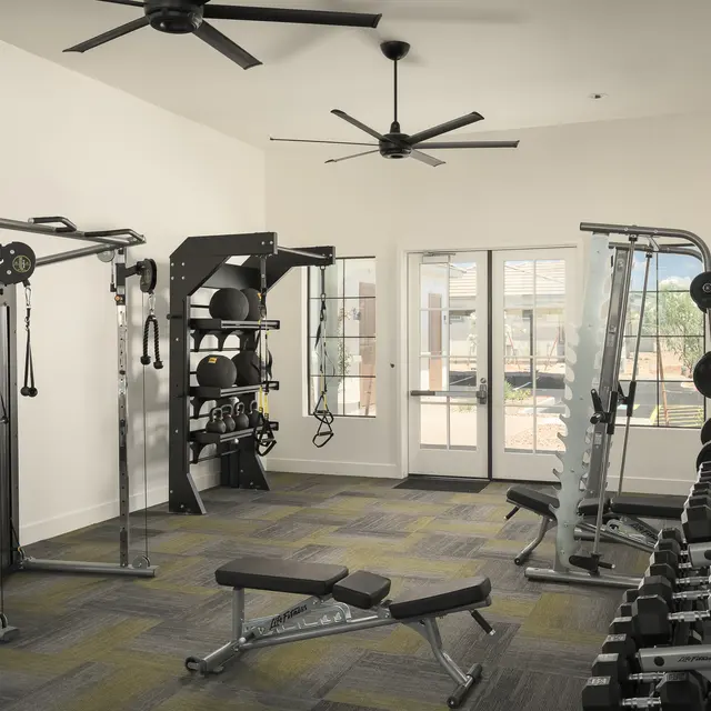 Interior view of a modern gym with various exercise equipment including weights and machines, bright lighting, and large windows.