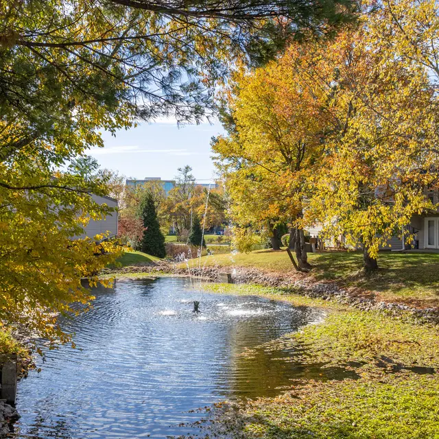 A serene pond surrounded by trees showcasing autumn colors including yellow, orange, and green. The water is calm with reflections of the foliage. Nearby buildings can be seen in the background.
