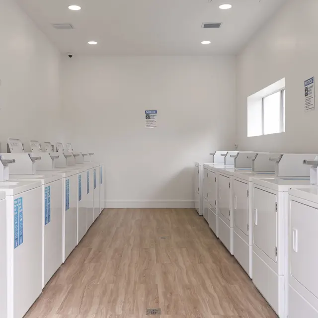 An interior view of a laundry room featuring rows of white washing machines and dryers against a bright white wall. The floor is wooden and there is a small window on the right side.
