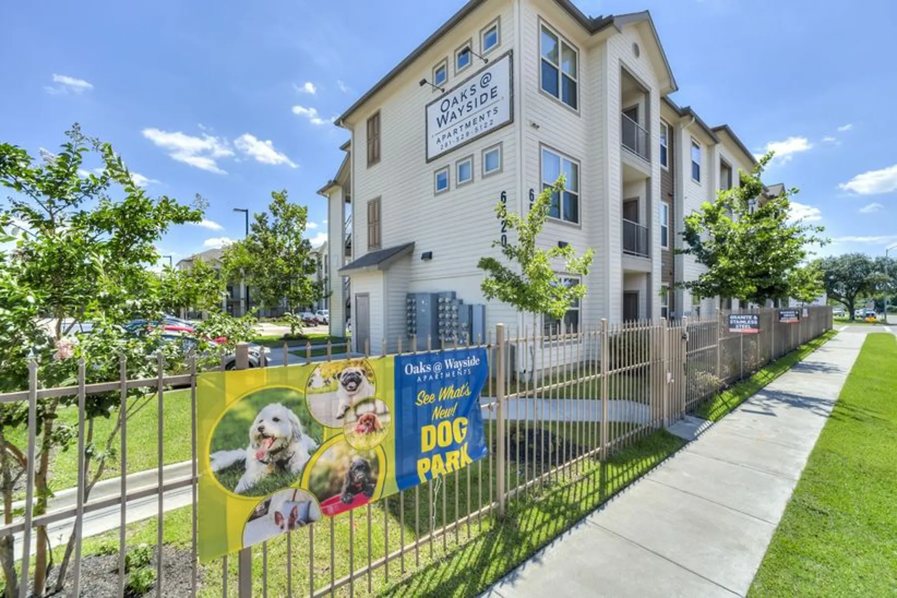 City, Nature, Outdoors