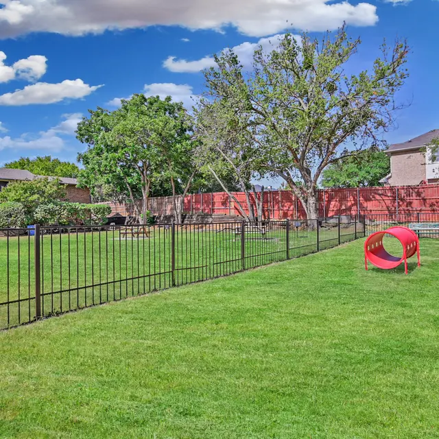 Marina del Rey - Grass, Plant, Outdoors