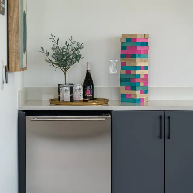 Bishop Central - Appliance, Dishwasher