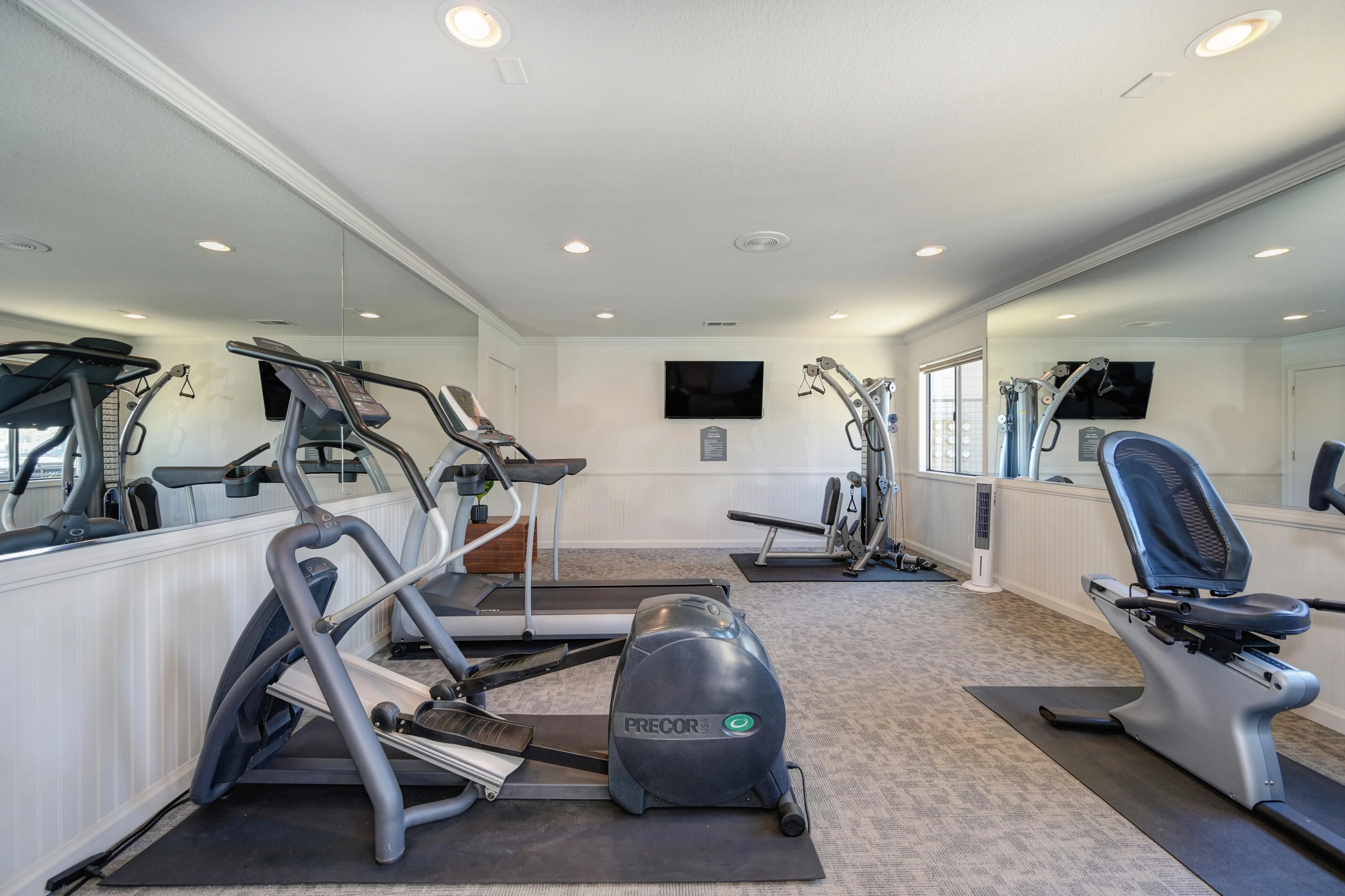 Lakeview Village - Monitor, Screen, Fitness