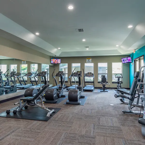 Hollow Tree Parc - Gym, Sport