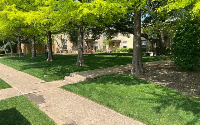 The Reiger The Reiger - Grass, Outdoors, Park