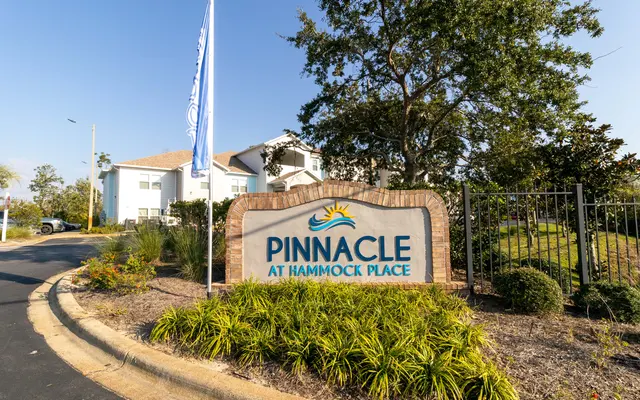 Pinnacle at Hammock Place Apts - Neighborhood, City, Villa