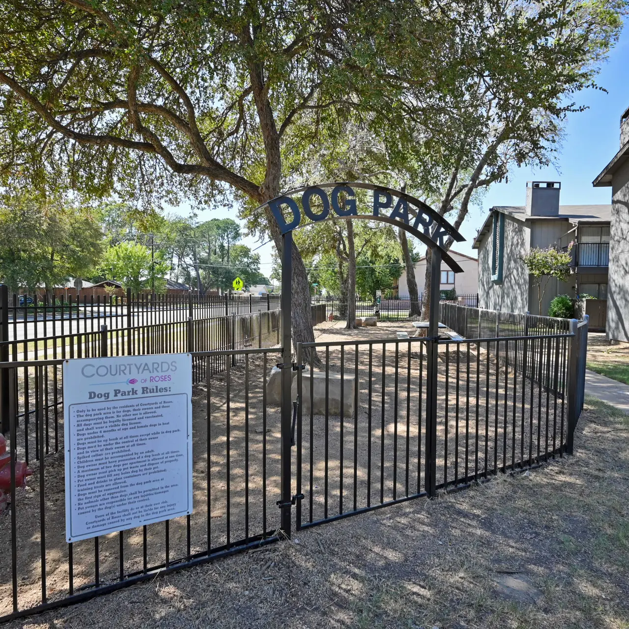 Courtyard of Roses Courtyard of Roses - Yard, Outdoors, Nature