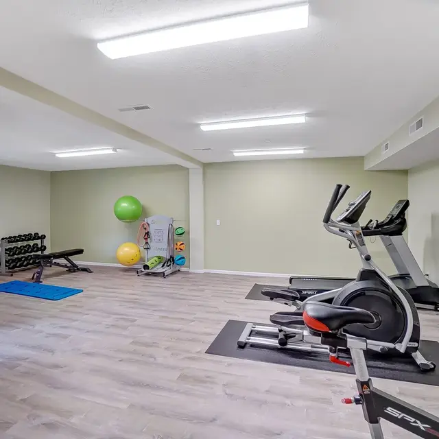 Royal Cove - Fitness, Sport, Working Out