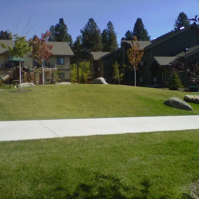 Playground Area in a Residential Complex A grassy area in a residential complex with a playground, surrounding trees, and several buildings in the background.