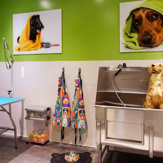 Edge on 4th - Sink, Sink Faucet, Indoors