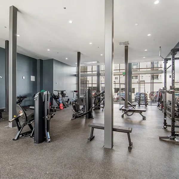 Modern gym interior featuring workout machines, benches, and weights in a spacious, well-lit area with windows.