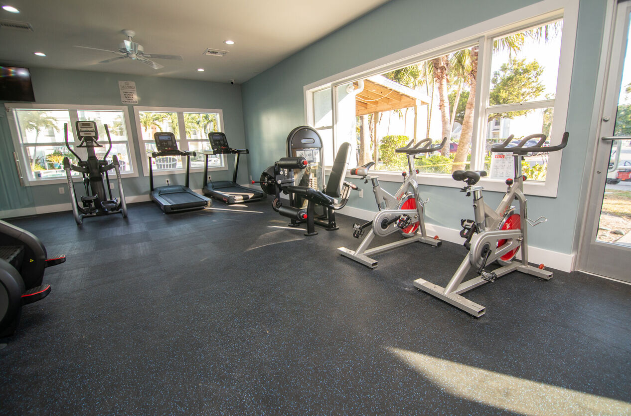 A modern gym space featuring various exercise machines including treadmills and stationary bikes, with large windows allowing natural light to enter.