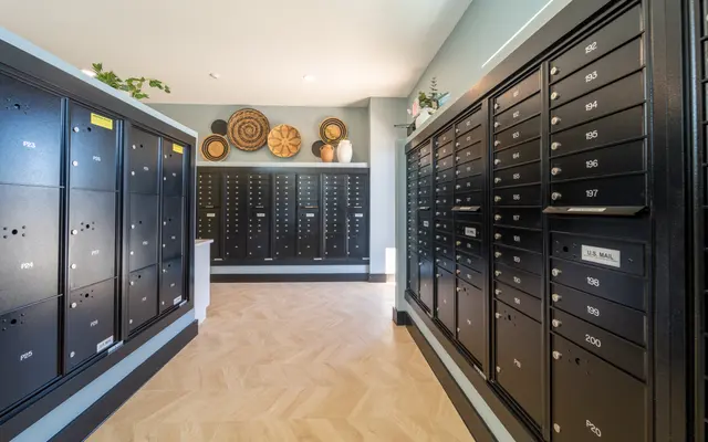 A modern mailroom with black mail lockers lining the walls. The floor has a wood-like design and there are decorative items on the wall above the lockers. The space is well-lit with natural light.