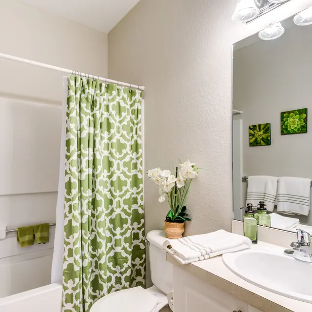 A bright and neatly organized bathroom featuring a green patterned shower curtain, a white sink with modern fixtures, and decorative potted plants. The walls are painted a light color, and there are framed green artworks on the wall.