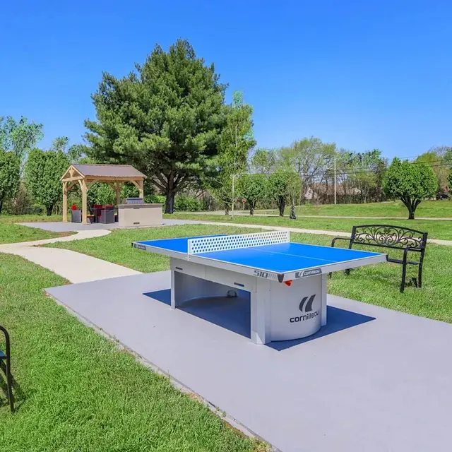 Ping pong, Outdoor activities, Park