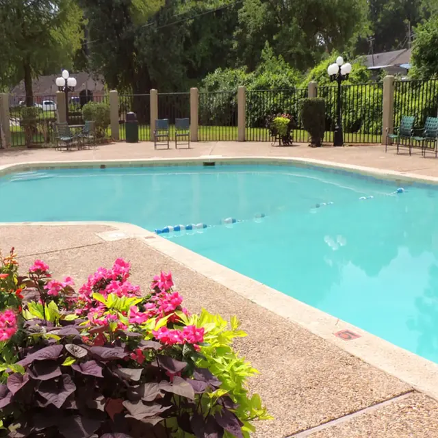 Beautiful Swimming Pool with Flower Landscaping A clear swimming pool surrounded by vibrant flowers and a fenced area with chairs and lighting fixtures.