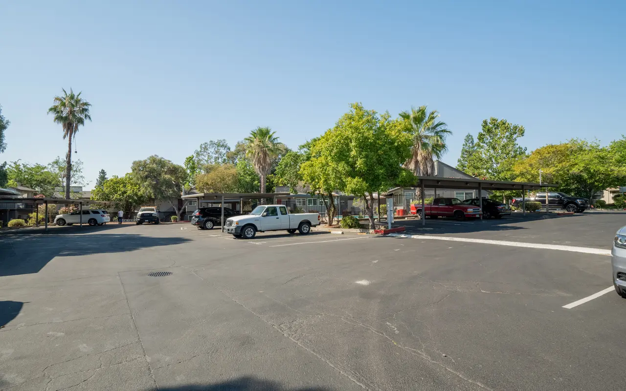 An open parking lot with several vehicles and palm trees.