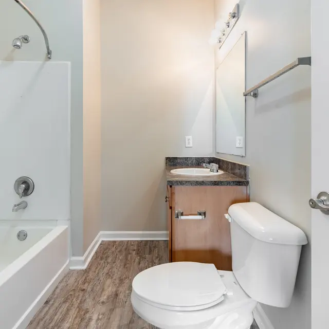 A modern bathroom featuring a bathtub, a toilet, and a vanity with a sink. The walls are painted in a light color, and there is a large mirror above the sink.