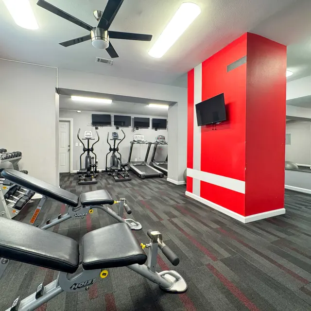 A modern gym interior featuring workout benches, treadmills, and elliptical machines. The décor includes bold red and black stripes on the wall.
