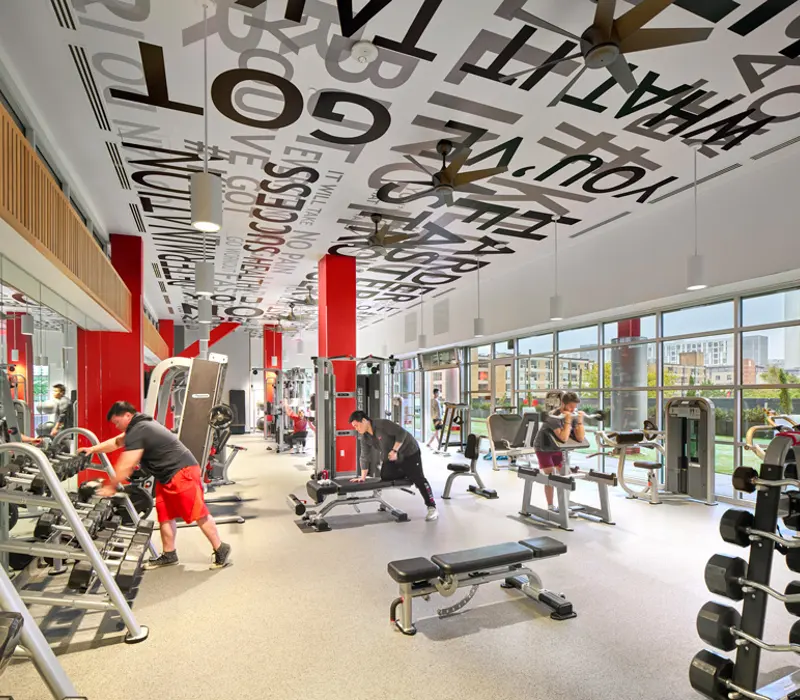 Vantage - Fitness Vantage - Fitness