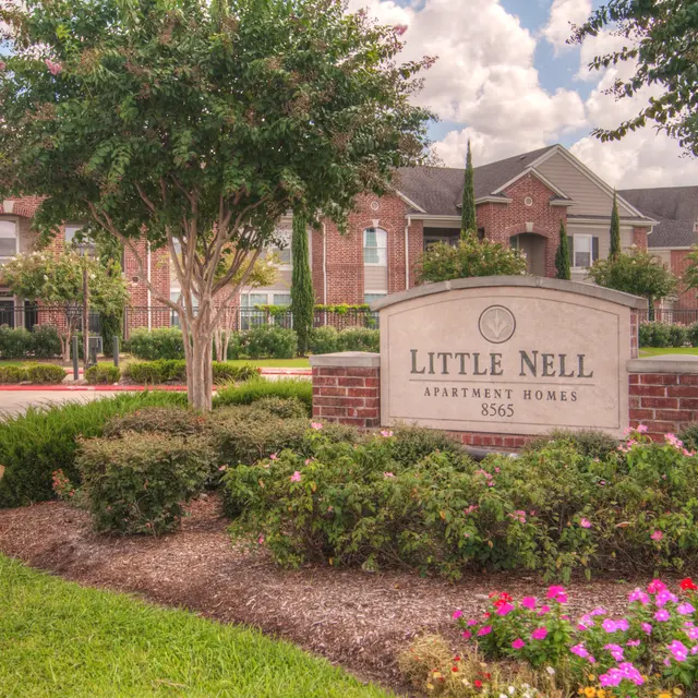 Little Nell - Grass, Neighborhood, Vegetation