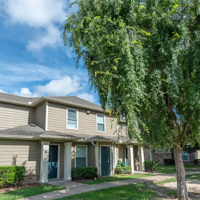 Collingham Park - Neighborhood, Suburb, Tree