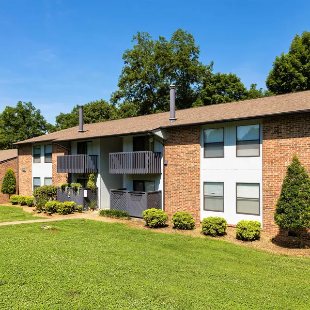 Cross Creek - Grass, Plant, Tree