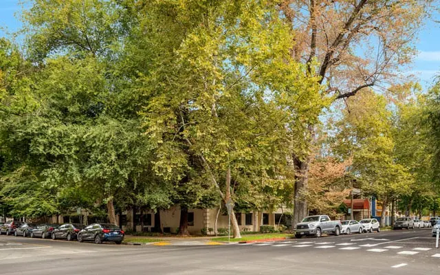 Governor's Terrace - Land, Road, Tree
