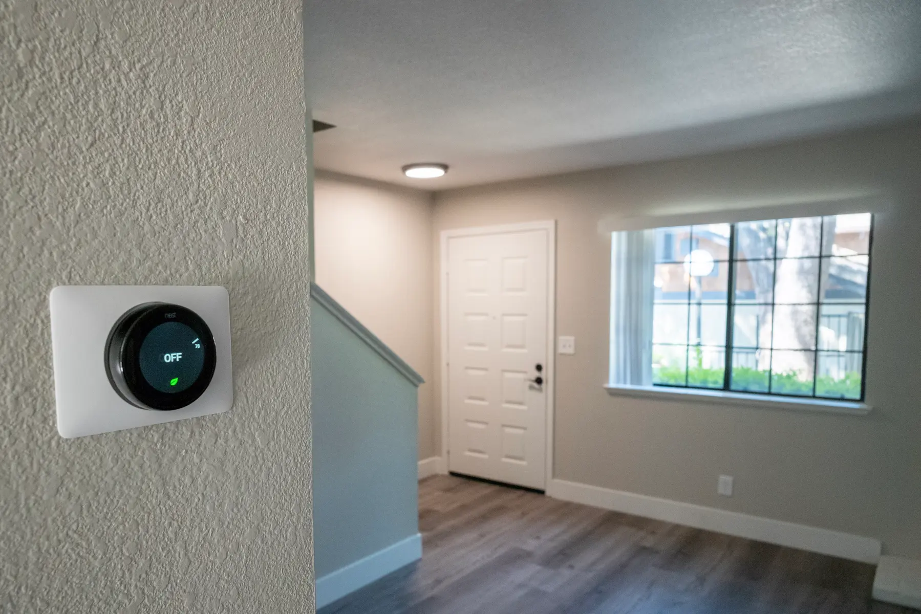 Cedar Court - Wood, Floor