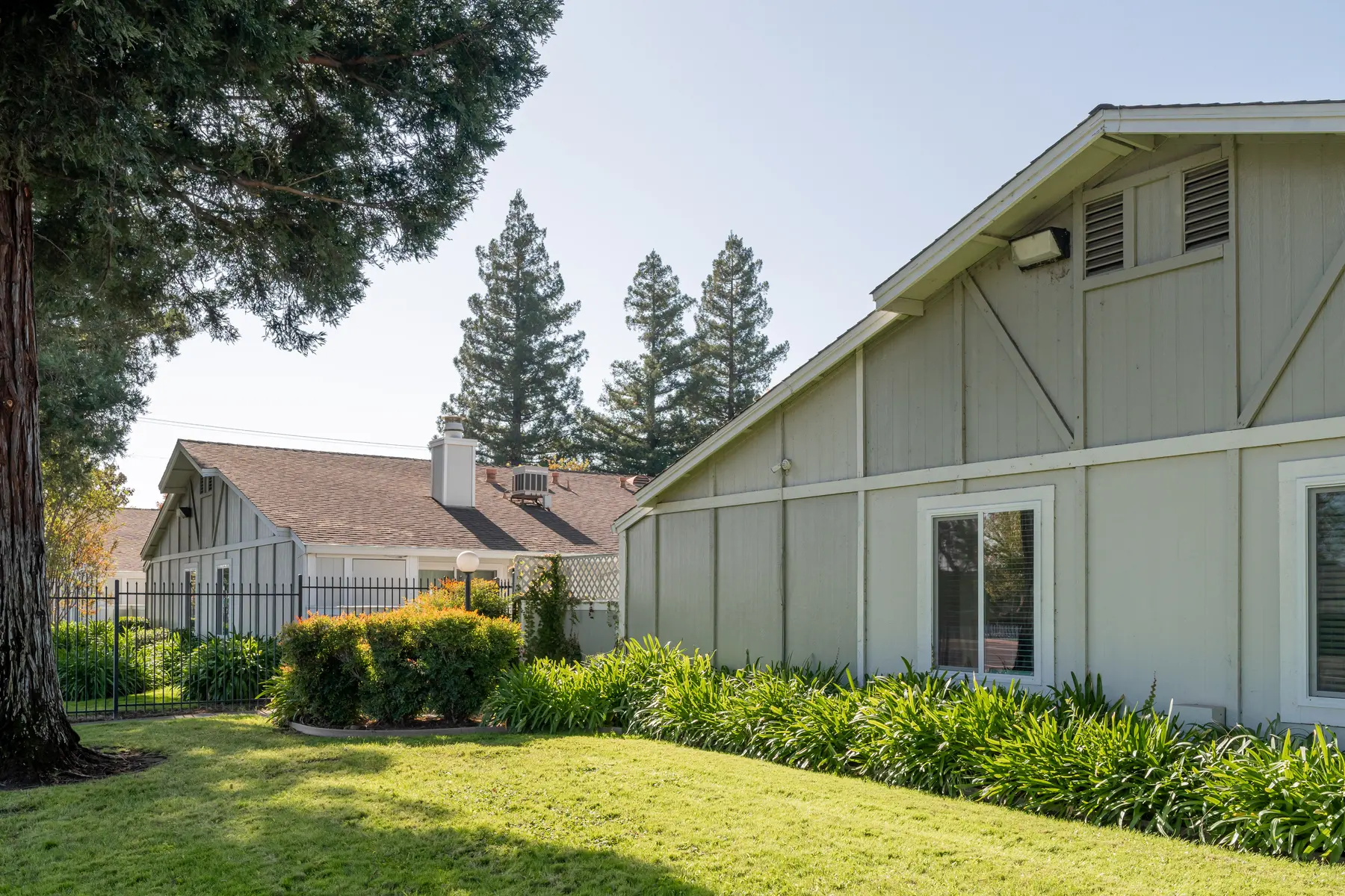 El Camino Place - Grass, Tree, Shelter