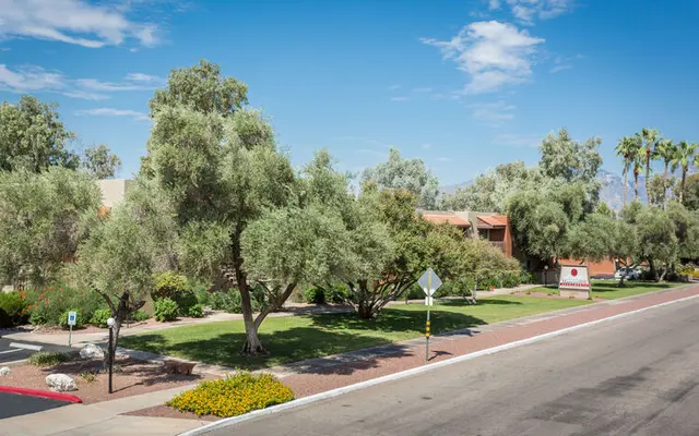 Maguire Hill Apartments - Vegetation, City, Grass