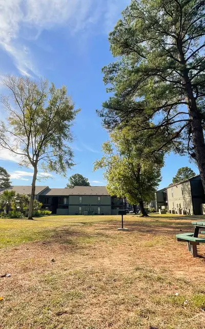 Seasons - Tree, Bench