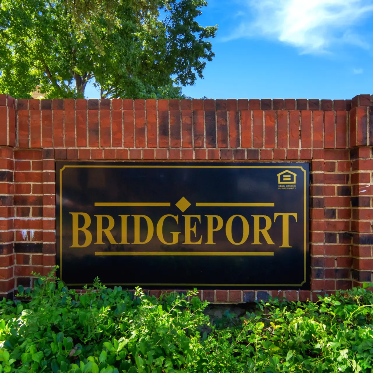 Bridgeport Bridgeport - Jar, Vase