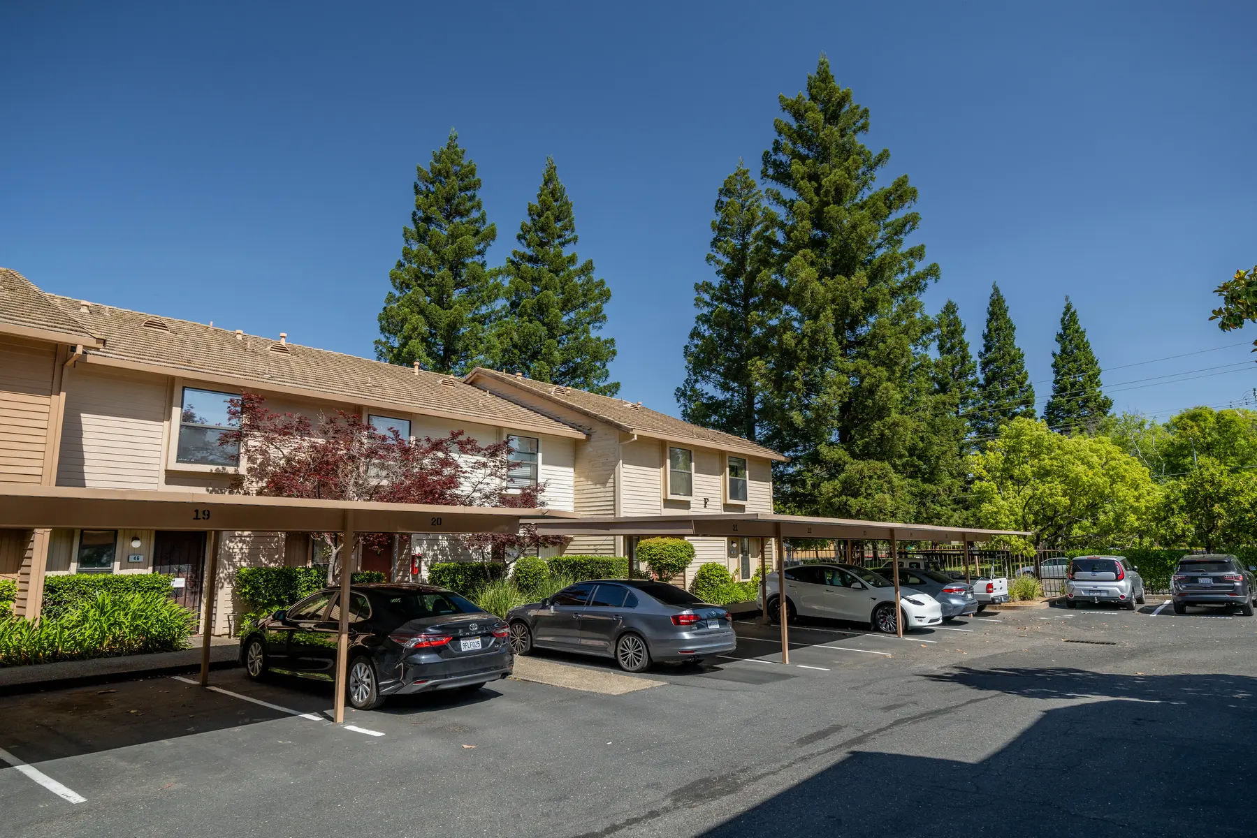 Crestview Townhomes - Neighborhood, Tree, Car