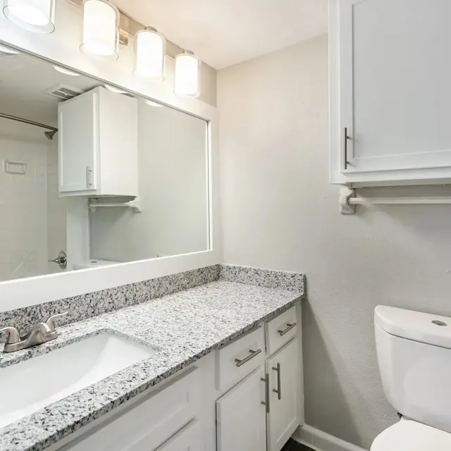 A modern bathroom featuring a double sink vanity with a granite countertop, contemporary lighting above the mirror, and a white toilet. The walls are painted a light color, and there is a shower visible in the background.