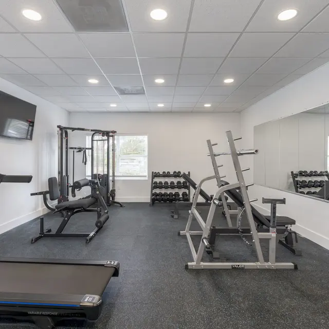 A well-lit home gym featuring a treadmill, weightlifting machine, dumbbell racks, and a mirror on one wall.