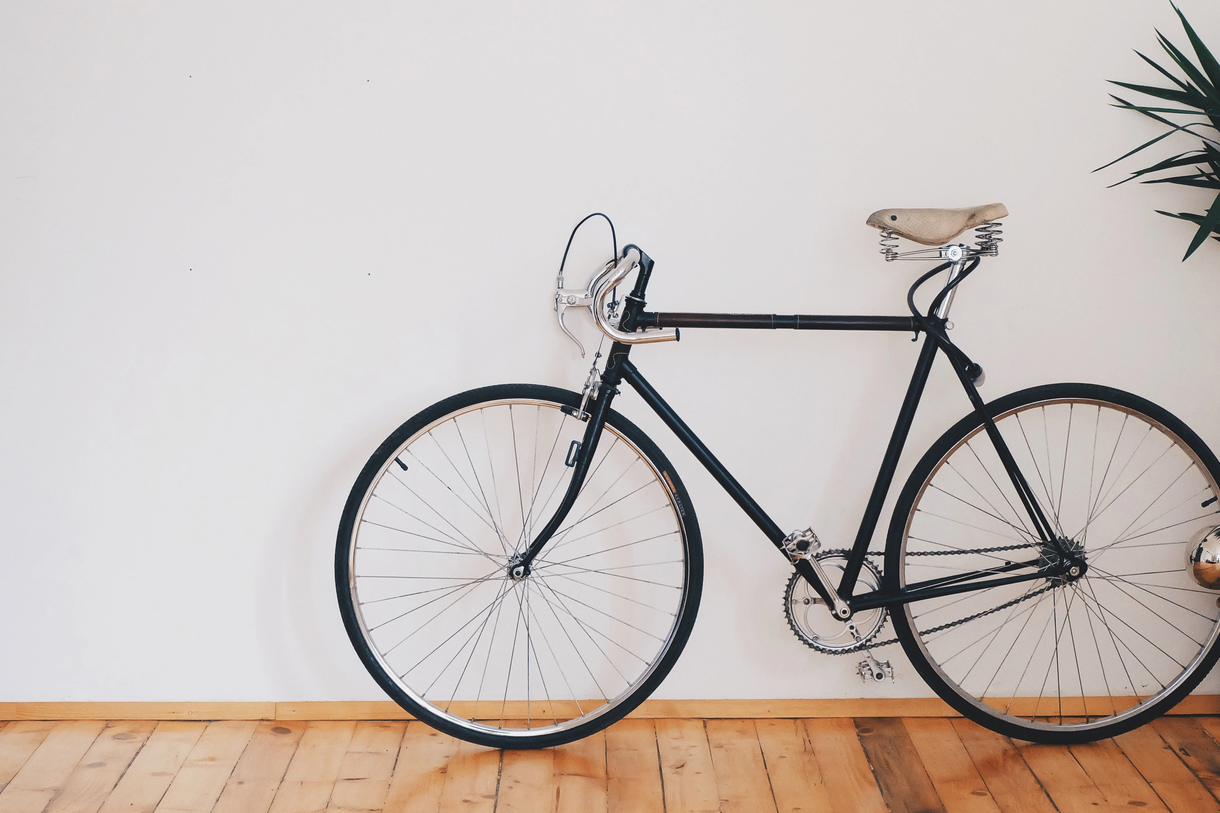 A black bicycle leaned against a white wall in a spacious room with a wooden floor and a potted plant in the corner.