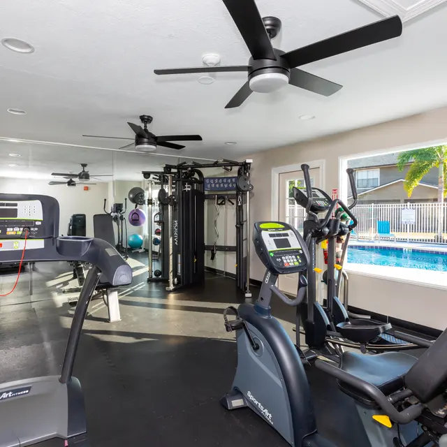 A modern gym interior featuring various exercise equipment including a treadmill, elliptical machine, and strength training equipment, with large windows showing a swimming pool and palm trees outside.