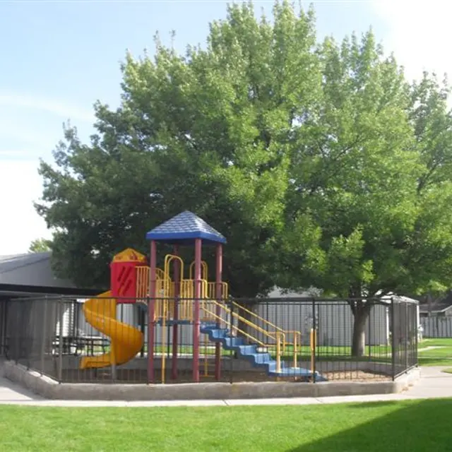 Colorful Playground Slide A colorful playground featuring a slide, climbing structure, and surrounded by a fence with a large tree nearby under a clear sky.