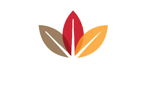 Chapelwood Place Logo Logo of Chapelwood Place featuring leaf-like designs in red, orange, and beige colors above the text.