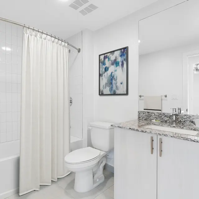 Modern bathroom featuring a shower with a curtain, a bathtub, a toilet, and a double vanity with a granite countertop. Artwork is hanging on the wall and a small plant is on the vanity.