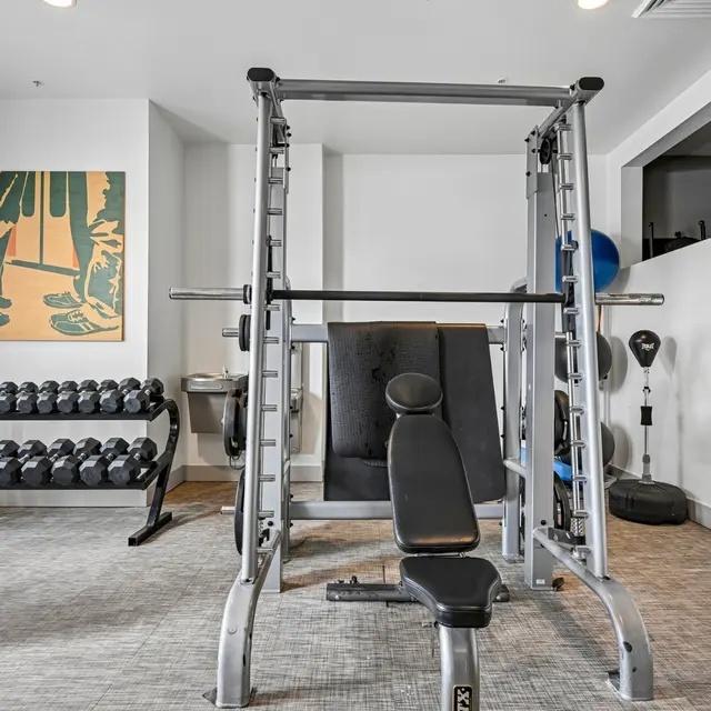 Modern Fitness Center A modern gym area featuring a weight bench, a selection of dumbbells, and a barbell rack, with artwork on the wall.