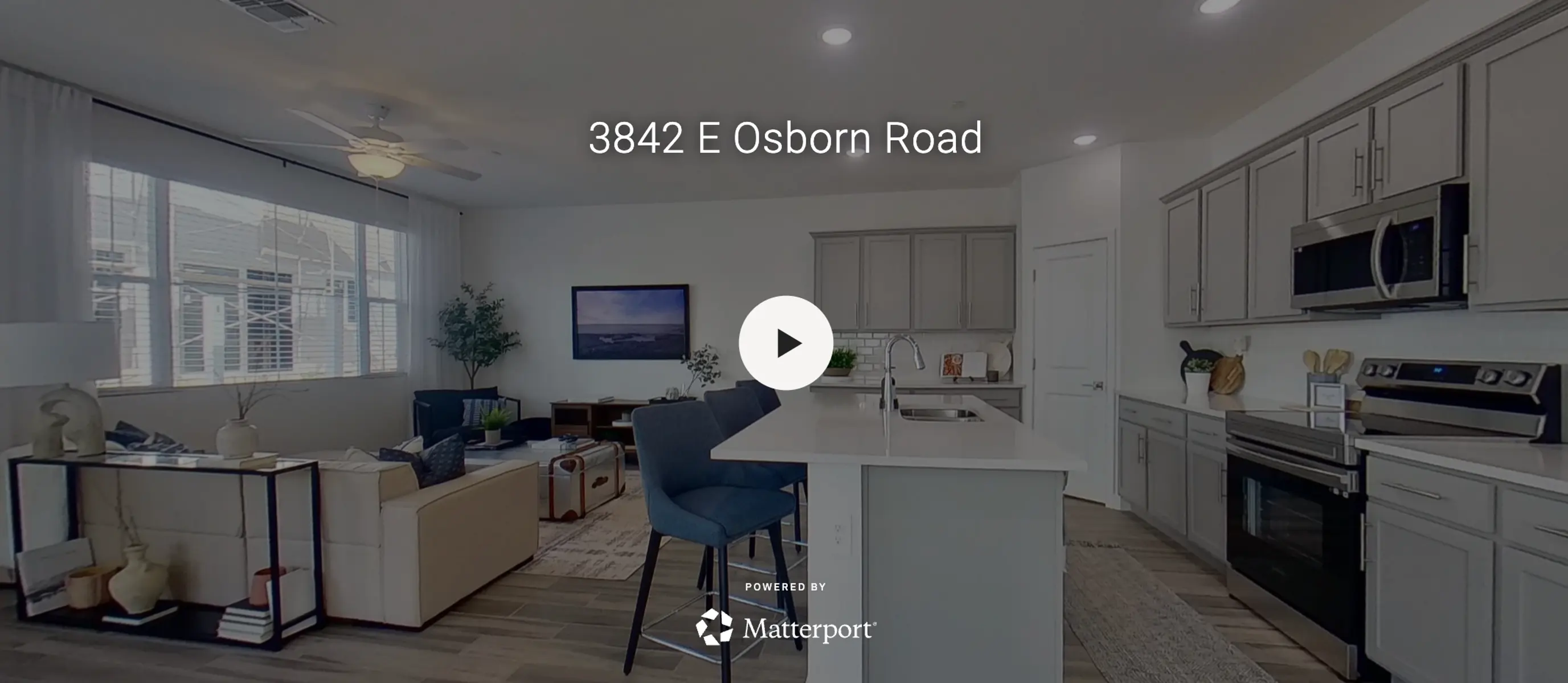 The Willow The Willow