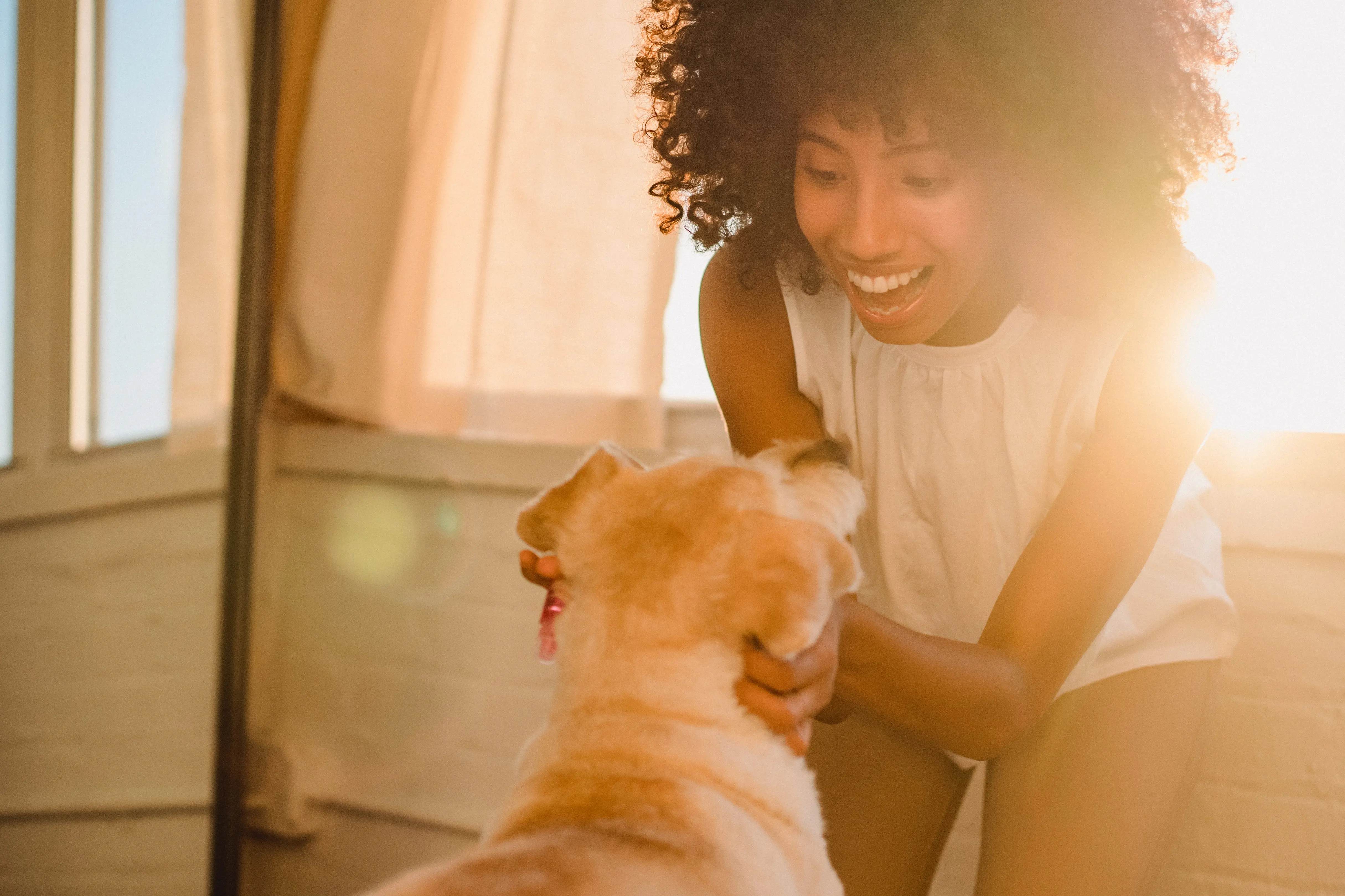 A woman with curly hair smiles while interacting with a yellow dog in a sunlit room.