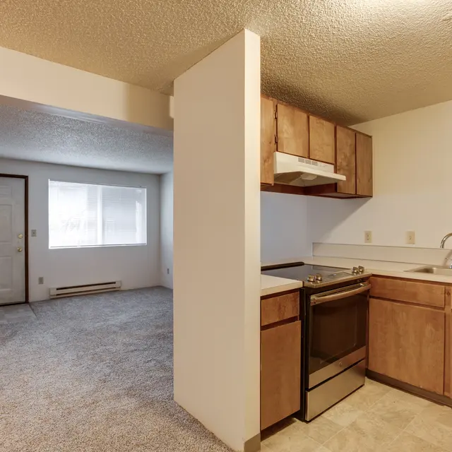 Small Apartment Interior Interior view of a small apartment with a kitchen and living area, featuring a door, window, and basic appliances.