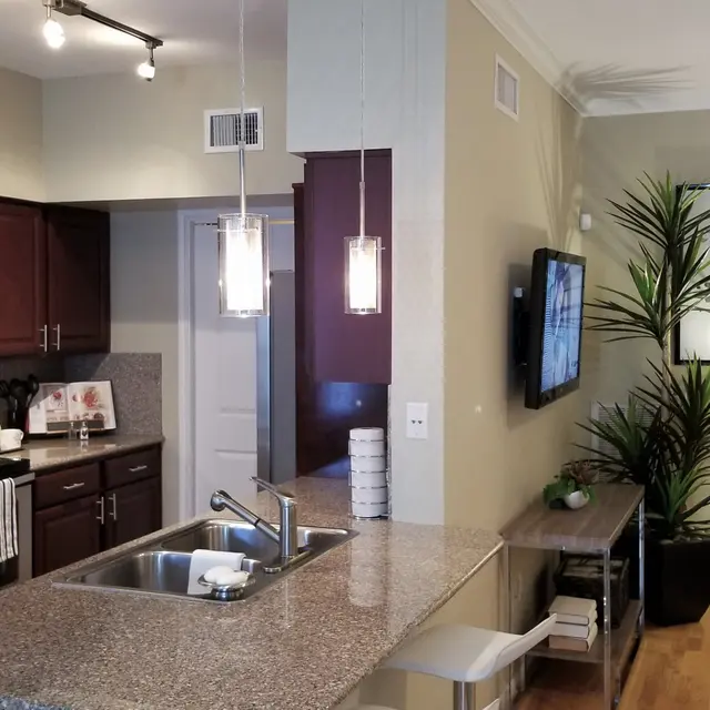 A modern kitchen with wood cabinetry, granite countertops, and stainless steel appliances, adjacent to a cozy living area featuring a potted plant and a framed art piece on the wall.